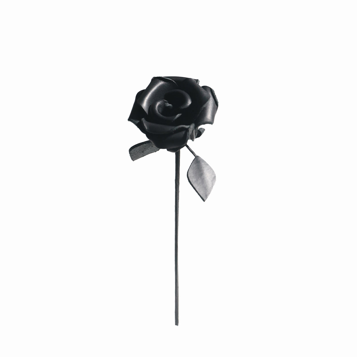 Aging Rose BLACK