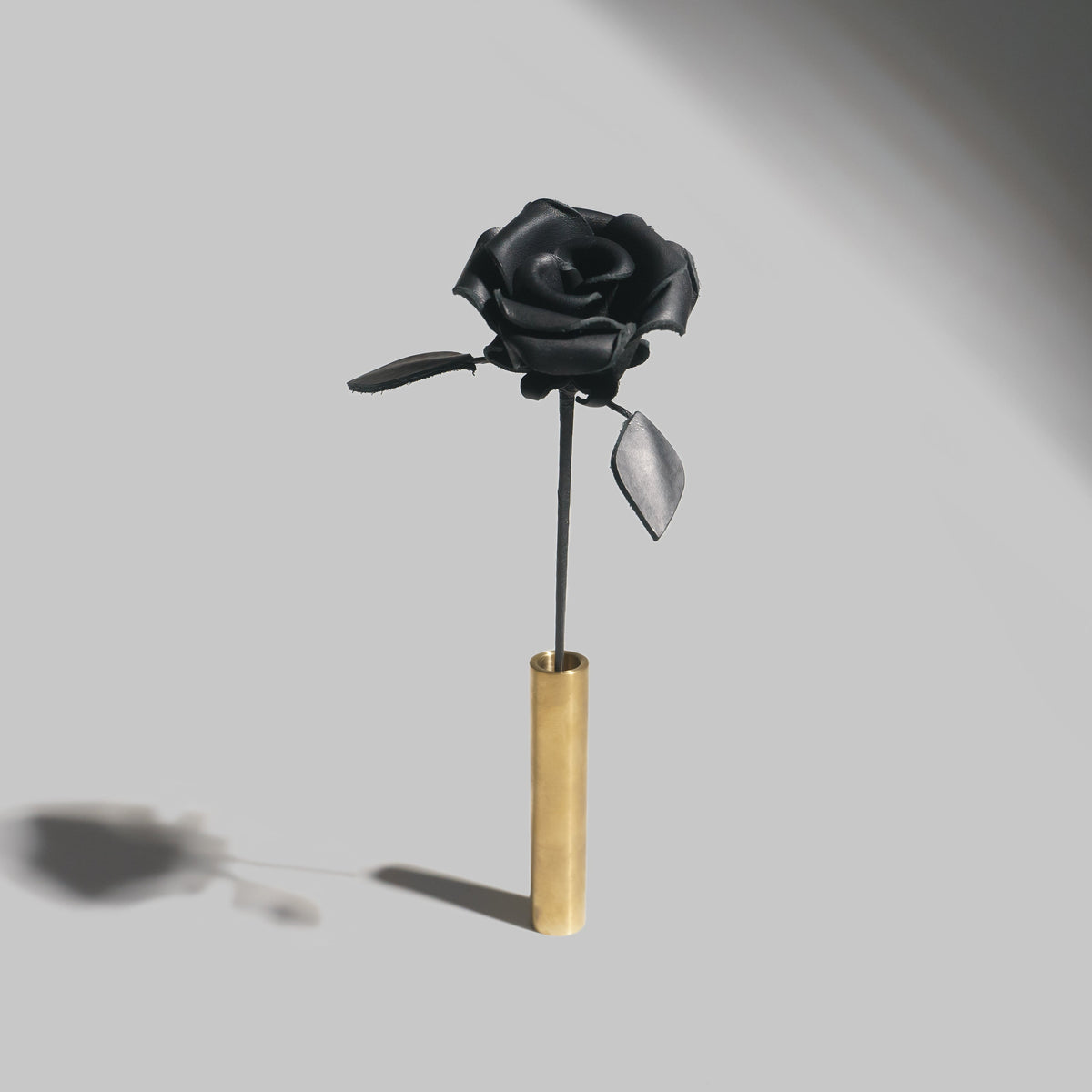 Aging Rose BLACK